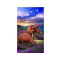 OBRAZ MALOWANIE PO NUMERACH RAMA 40x50cm DWA KONIE - GÓRY
