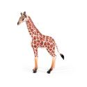 Figurki Zwierząt Dzikie Zwierzęta Zestaw 4 Figurek Lew Tygrys Zebra Żyrafa ZOO Safari