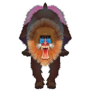 Latawiec BRAINSTORM - WNS Rainforest 44x28 Nylon Mandrill" Brainstorm Latawce KC0665-KJA 1