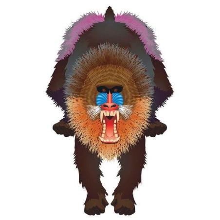 Latawiec BRAINSTORM - WNS Rainforest 44x28 Nylon Mandrill" Brainstorm Latawce KC0665-KJA 1