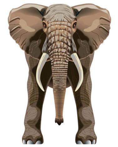 Latawiec BRAINSTORM - WNS SkyZoo 40x30 Nylon Elephant" Brainstorm Latawce KC0670-KJA 1