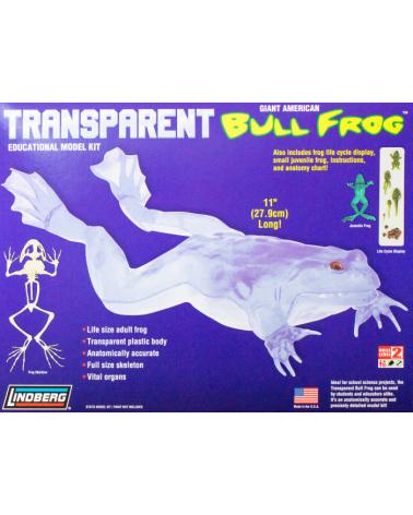 Model plastikowy Lindberg - Transparent Bull Frog (Przezroczysta żaba rycząca) Lindberg Modele do sklejania HL301-KJA 1
