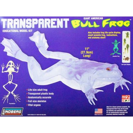 Model plastikowy Lindberg - Transparent Bull Frog (Przezroczysta żaba rycząca) Lindberg Modele do sklejania HL301-KJA 1