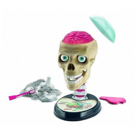 ZWARIOWANA ANATOMIA LABORATORIUM NAUKOWA ZABAWA CLEMENTONI