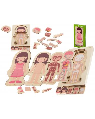 Puzzle drewniane warstwowe budowa ciała montessori dziewczynka  Edukacyjne zabawki KX5957-IKA 1