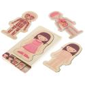 Puzzle drewniane warstwowe budowa ciała montessori dziewczynka  Edukacyjne zabawki KX5957-IKA 3