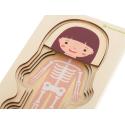 Puzzle drewniane warstwowe budowa ciała montessori dziewczynka  Edukacyjne zabawki KX5957-IKA 7