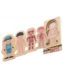 Puzzle drewniane warstwowe budowa ciała montessori chłopiec  Edukacyjne zabawki KX5957_1-IKA 4