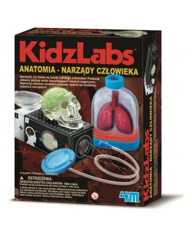 Anatomia Narządy Człowieka KidzLabs 4M RUSSELL Edukacyjne zabawki 11697-CEK 1