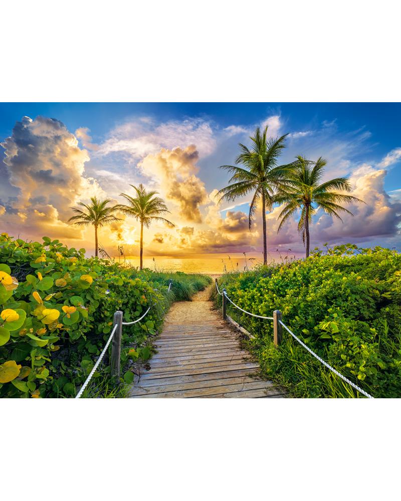 CASTORLAND Puzzle 3000el. Colorful Sunrise in Miami, USA - Wschód Słońca w Miami  Puzzle KX4776-IKA 1
