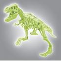 SKAMIENIAŁOŚCI T-REX NAUKOWA ZABAWA APLIKACJA ANDROID IOS