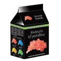 MINI HODOWLA KRYSZTAŁÓW CZERWONY KRYSZTAŁ RANOK