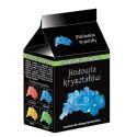 MINI HODOWLA KRYSZTAŁÓW NIEBIESKI KRYSZTAŁ RANOK