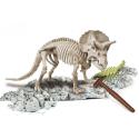 SKAMIENIAŁOŚCI TRICERATOPS NAUKOWA ZABAWA  G2
