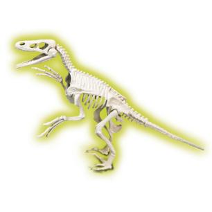 SKAMIENIAŁOŚCI RAPTOR NAUKOWA ZABAWA APLIKACJA ANDROID G2