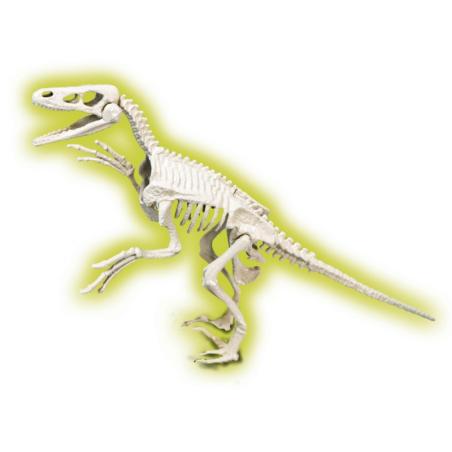SKAMIENIAŁOŚCI RAPTOR NAUKOWA ZABAWA APLIKACJA ANDROID G2