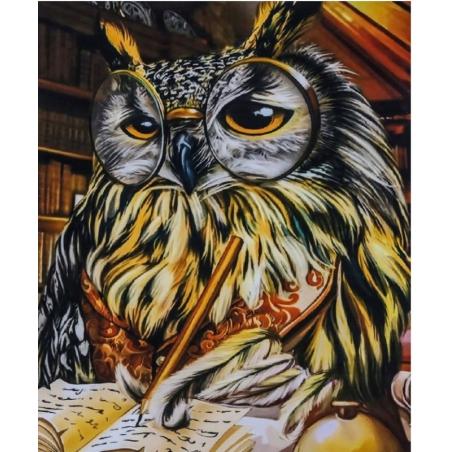 Malowanie po numerach Sowa 40 x 50 cm
