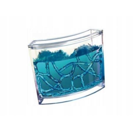 Akwarium edukacyjne żelowe dla mrówek