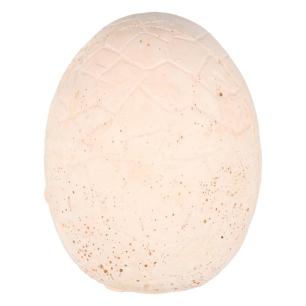 Dinozaury wykopaliska jajko dinozaura 12 figurek zestaw archeologiczny