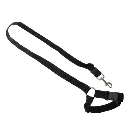 Smycz dla psa kota pas bezpieczeństwa do auta samochodu na zagłówek bezpieczny mocny