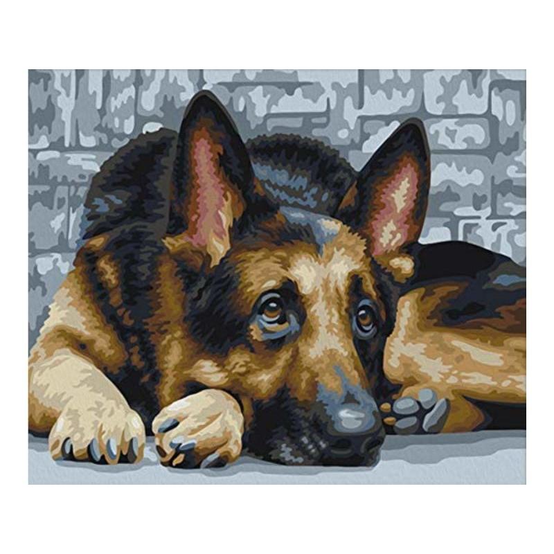 OBRAZ MALOWANIE PO NUMERACH RAMA 50x40cm OWCZAREK NIEMIECKI OBRAZ MALOWANIE PO NUMERACH RAMA 50x40cm OWCZAREK NIEMIECKI