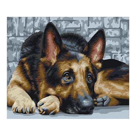 OBRAZ MALOWANIE PO NUMERACH RAMA 50x40cm OWCZAREK NIEMIECKI