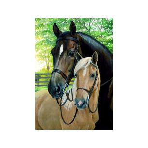 OBRAZ MALOWANIE PO NUMERACH RAMA 40x50cm KONIE