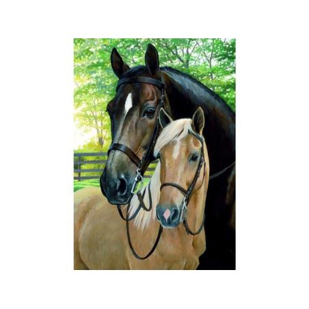 OBRAZ MALOWANIE PO NUMERACH RAMA 40x50cm KONIE