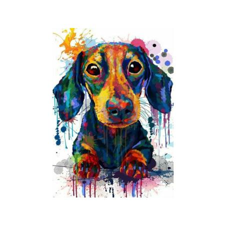 OBRAZ MALOWANIE PO NUMERACH RAMA 40x50cm PIES W KOLORZE