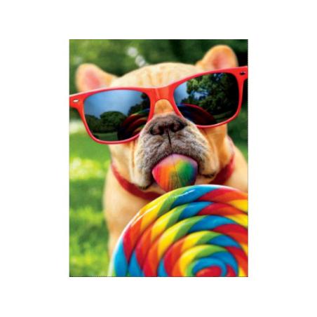 OBRAZ MALOWANIE PO NUMERACH RAMA 40x50cm PIES W OKULARACH