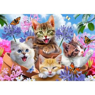 OBRAZ MALOWANIE PO NUMERACH RAMA 50x40cm KOTY WŚRÓD KWIATÓW