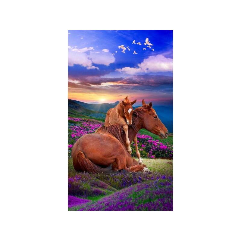 OBRAZ MALOWANIE PO NUMERACH RAMA 40x50cm DWA KONIE - GÓRY OBRAZ MALOWANIE PO NUMERACH RAMA 40x50cm DWA KONIE - GÓRY